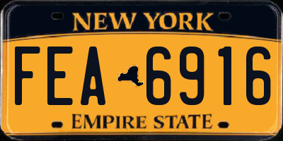 NY license plate FEA6916