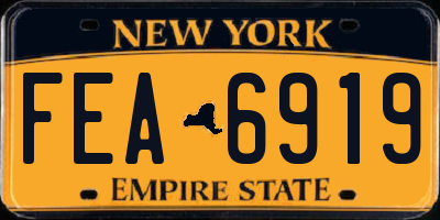 NY license plate FEA6919