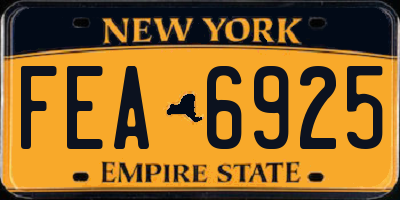 NY license plate FEA6925