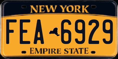 NY license plate FEA6929