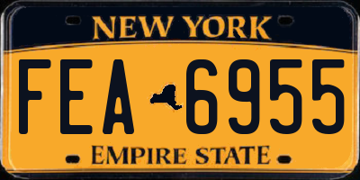 NY license plate FEA6955