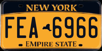 NY license plate FEA6966