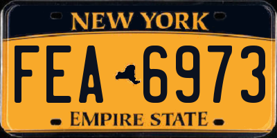NY license plate FEA6973