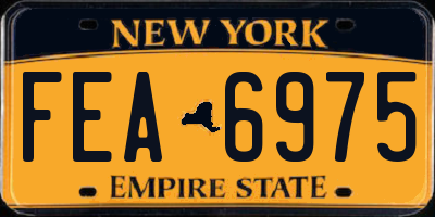 NY license plate FEA6975
