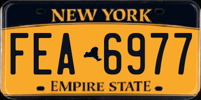 NY license plate FEA6977