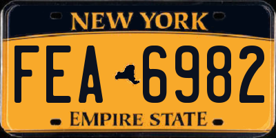 NY license plate FEA6982