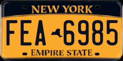 NY license plate FEA6985