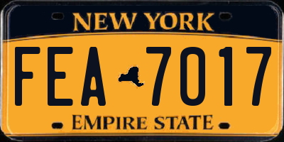 NY license plate FEA7017