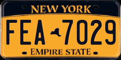 NY license plate FEA7029