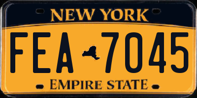 NY license plate FEA7045