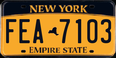 NY license plate FEA7103