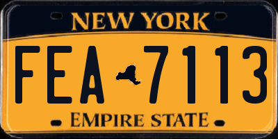 NY license plate FEA7113