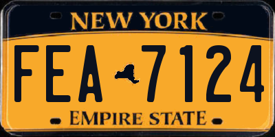 NY license plate FEA7124