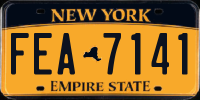 NY license plate FEA7141