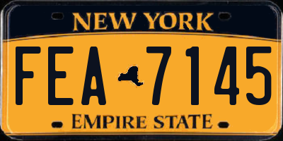 NY license plate FEA7145