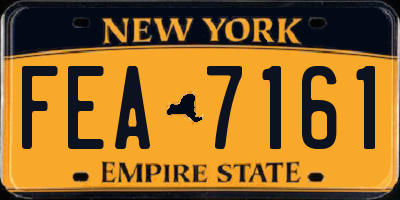 NY license plate FEA7161
