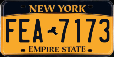 NY license plate FEA7173