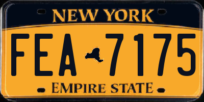 NY license plate FEA7175
