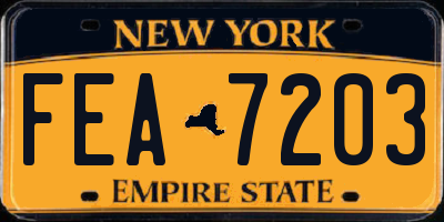 NY license plate FEA7203