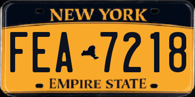 NY license plate FEA7218