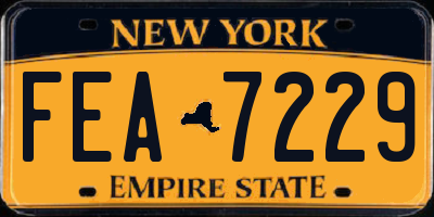 NY license plate FEA7229