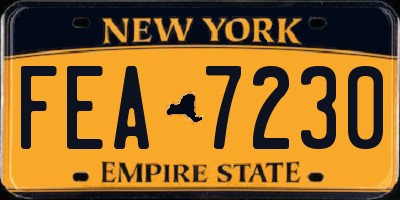 NY license plate FEA7230