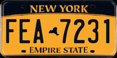 NY license plate FEA7231