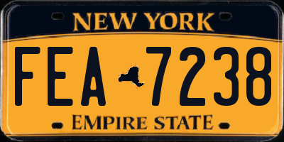 NY license plate FEA7238