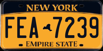 NY license plate FEA7239