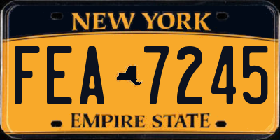 NY license plate FEA7245