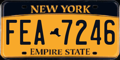 NY license plate FEA7246