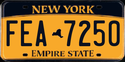 NY license plate FEA7250