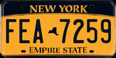 NY license plate FEA7259