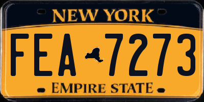 NY license plate FEA7273