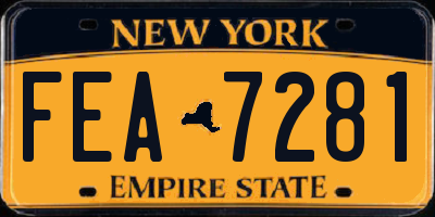 NY license plate FEA7281