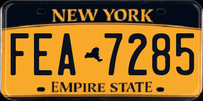 NY license plate FEA7285