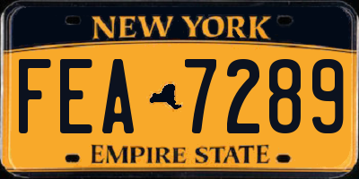 NY license plate FEA7289