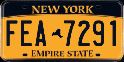NY license plate FEA7291