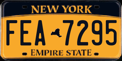 NY license plate FEA7295