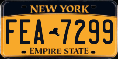 NY license plate FEA7299