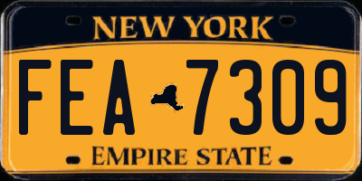 NY license plate FEA7309