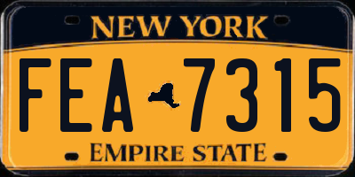 NY license plate FEA7315