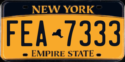 NY license plate FEA7333