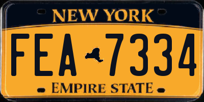 NY license plate FEA7334