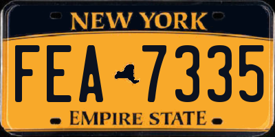 NY license plate FEA7335