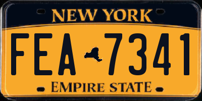 NY license plate FEA7341