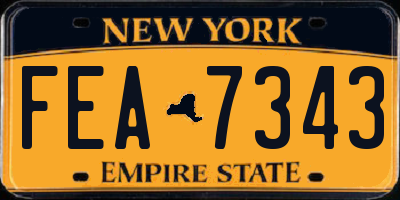 NY license plate FEA7343