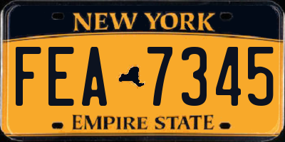 NY license plate FEA7345
