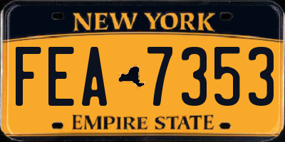 NY license plate FEA7353