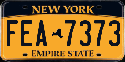 NY license plate FEA7373